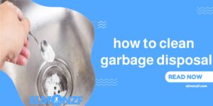 clean garbage disposal
