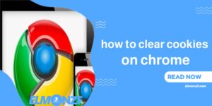 how to clear cookies on chrome